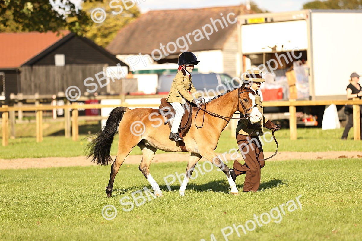 SBM_29371 - S7 - Novice & Newcomers Ridden Pony