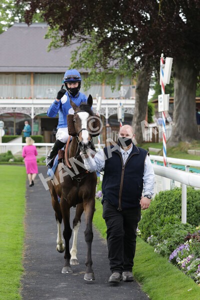 yr11062021r7-23 - Race 7 5.05pm SASH Charity Stakes