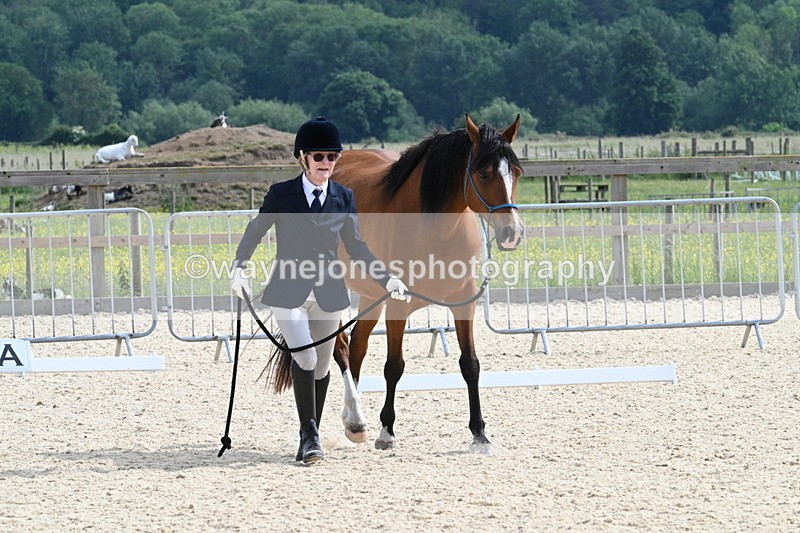 WJ7_8196 - Time 16:10 to 16:25