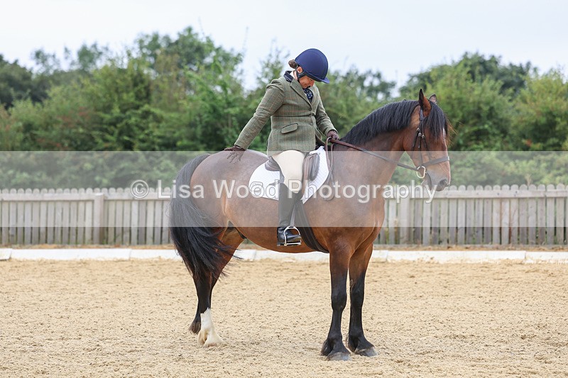 3E7A5211 - Class 2: Intro 4 2024 section B