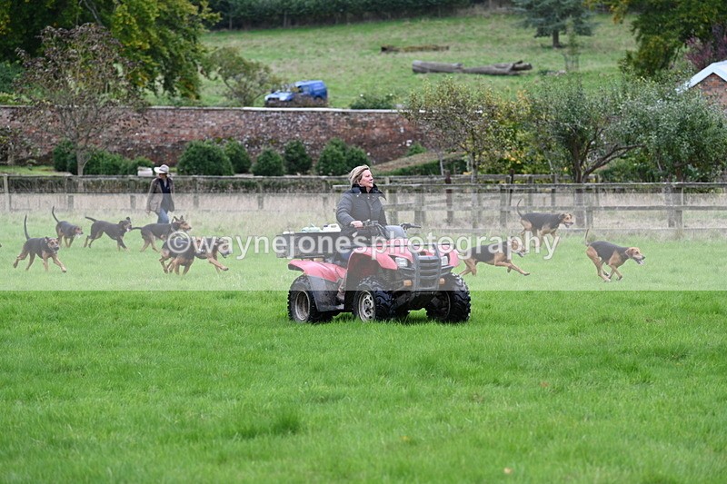 WJ7_4355 - Camera 1 Line 3