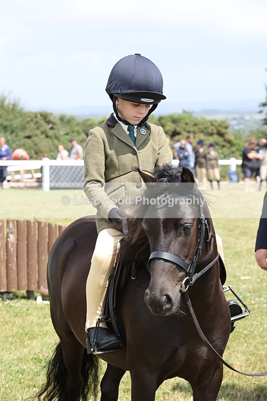 JPP_1875 - Class 18: Tiny Tots Working Hunter Pony