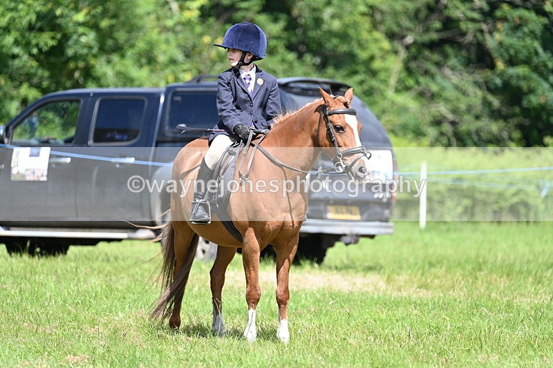 WJ7_1736 - Class 9 Pony Club Pony
