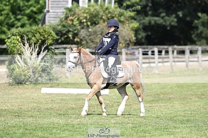 250821A-121332-15478 - DR 11.00 to 12.00