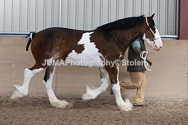 SIAL0219 - Indoor Classes