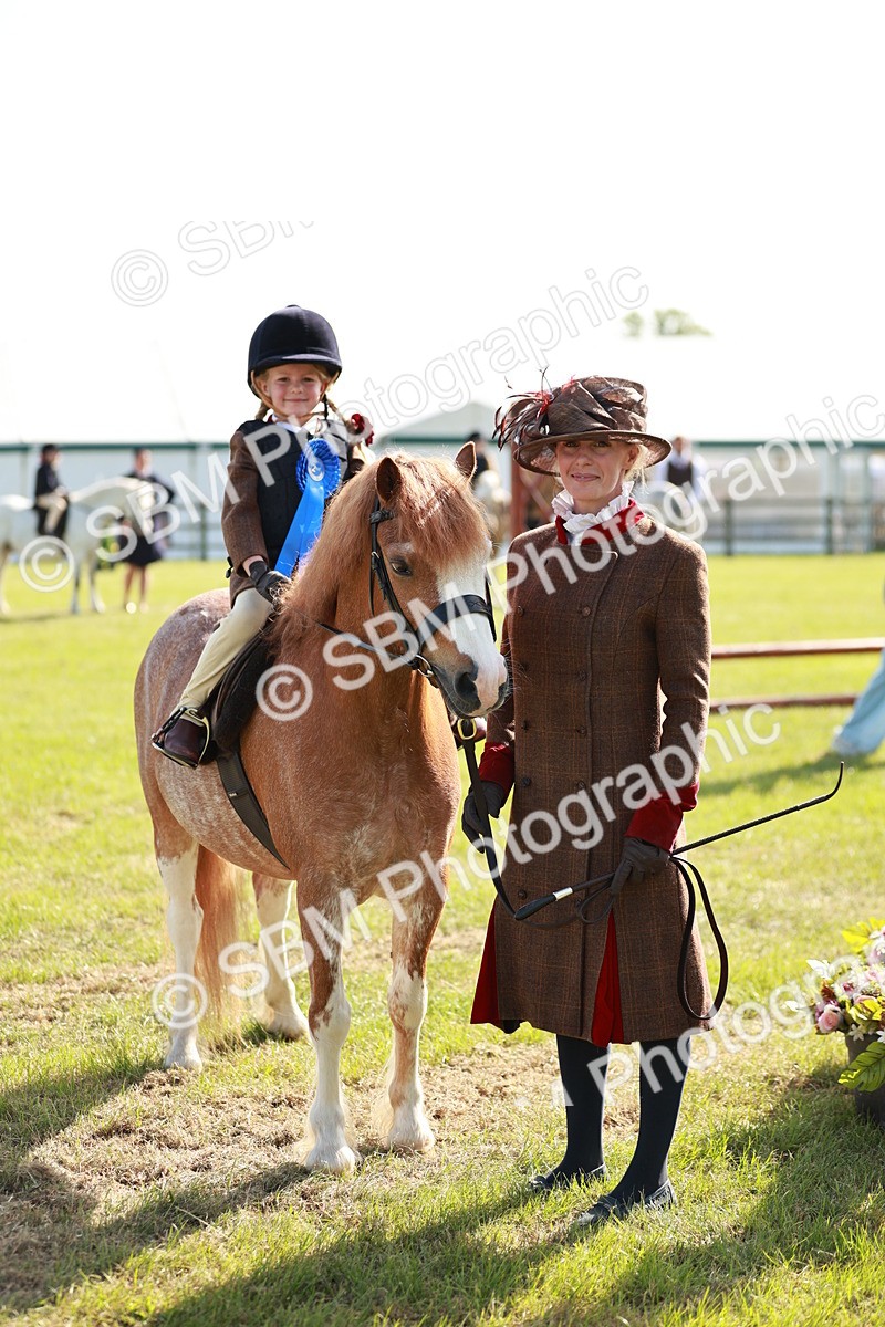 SBM_11306 - Class 106-107 - BSPS LIHS Working Sports Pony