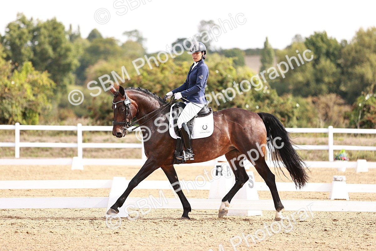 SBM_017562 - Class 11 - Advanced Medium 6