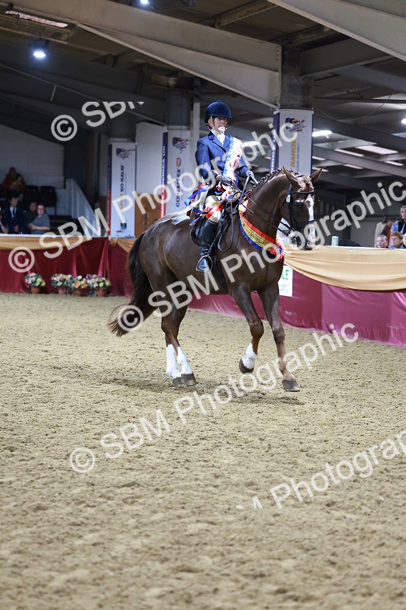 SBM_20724 - Class J - Foreign Breeds Champ