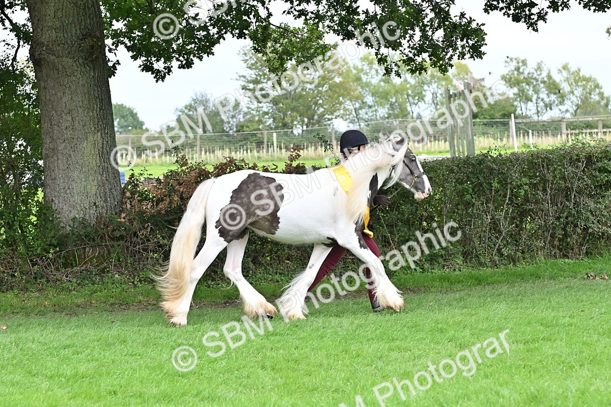 SBM_64975 - In Hand Pony & Younstock Supreme Championship