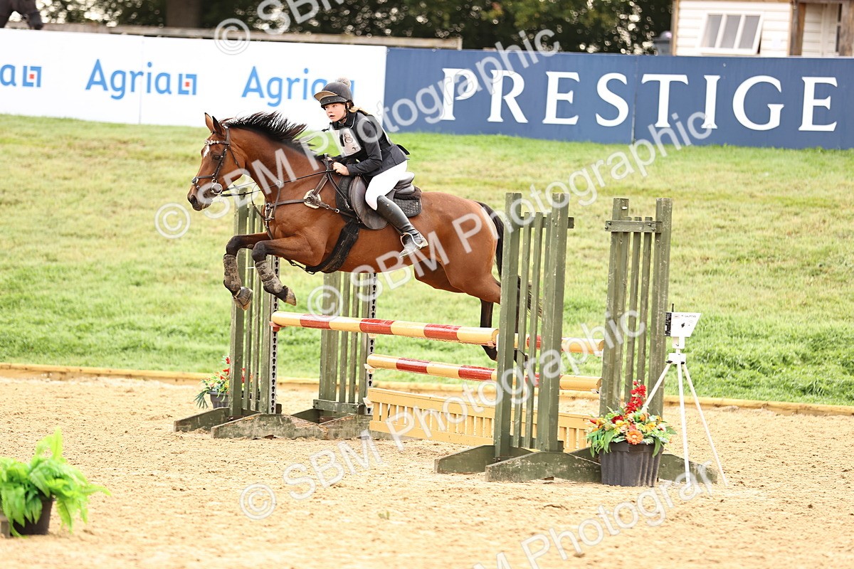 SBM_58389 - J41 - Grand Tour Horse & Pony 95cm