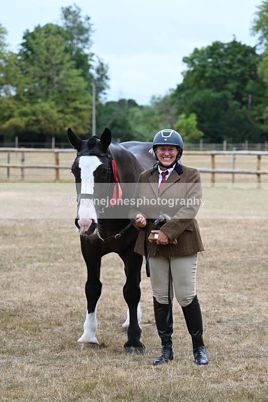 WJ7_0219 - Gelding Champs