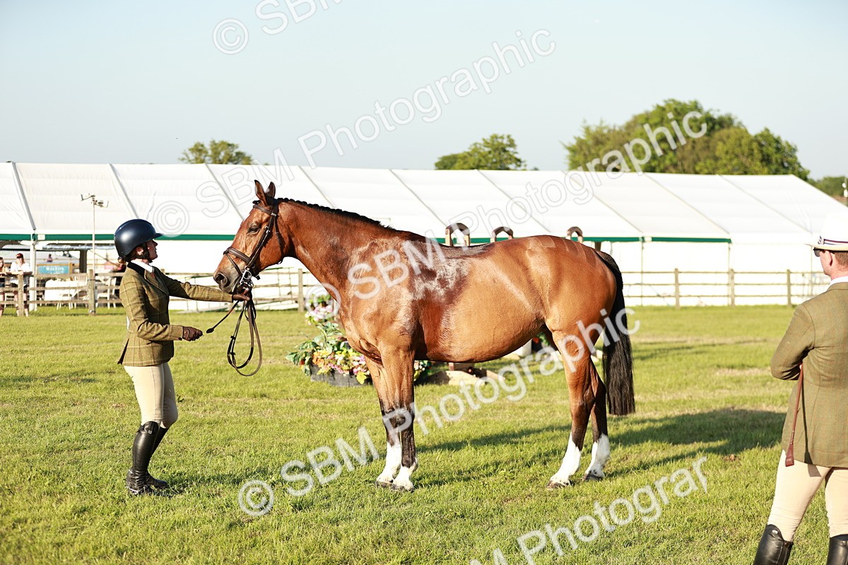 SBM_20535 - Class 117-119 - Sport Horse Working Hunter