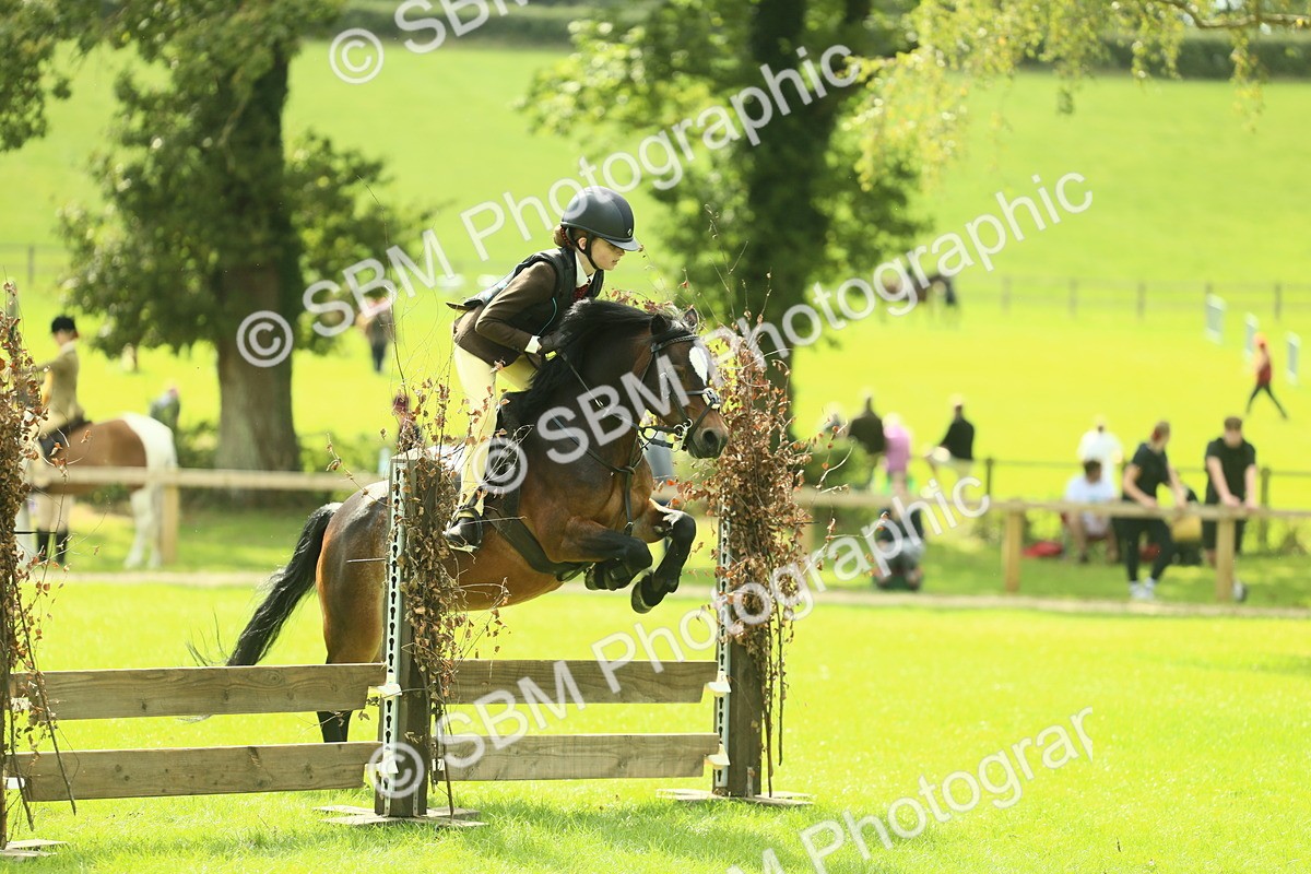 SBM_42750 - S30 - M&M Working hunter Pony