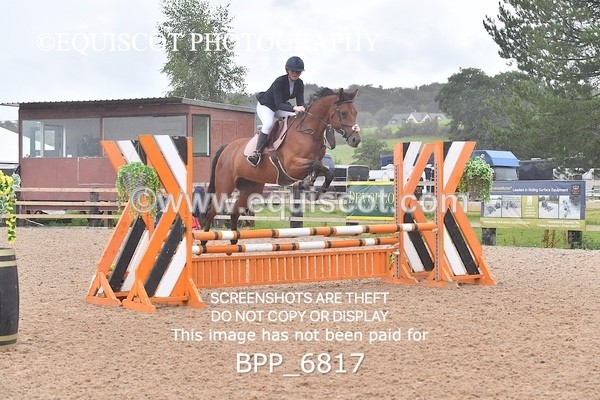 BPP_6817 - CLASS 1 Club/ Unaffiliated 80cms Open