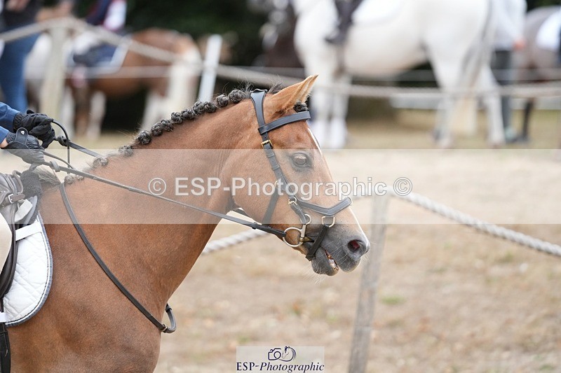 250820A-100209-02222 - Round 2, 9.45 to 10.45 Break