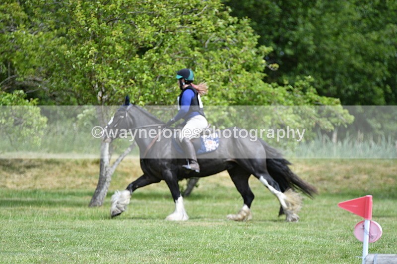 WJ5_2797 - Class 3 60cm Pairs