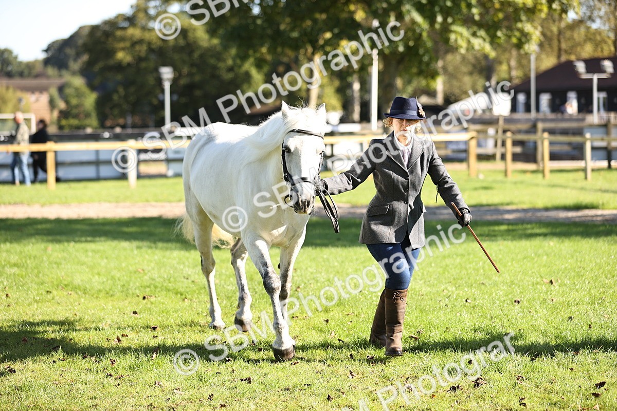 SBM_15917 - S1 - TSR in Hand Horse & Pony Showing
