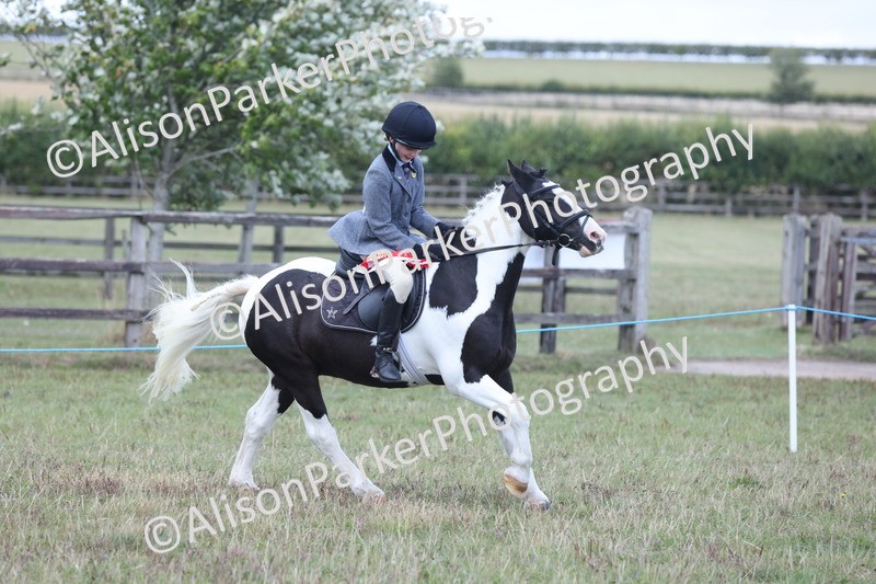 20250831-4370 - Class 20 - Ridden Coloured