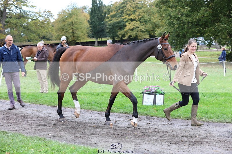 251026A-111128-25286 - F-462-Hayley.Allen