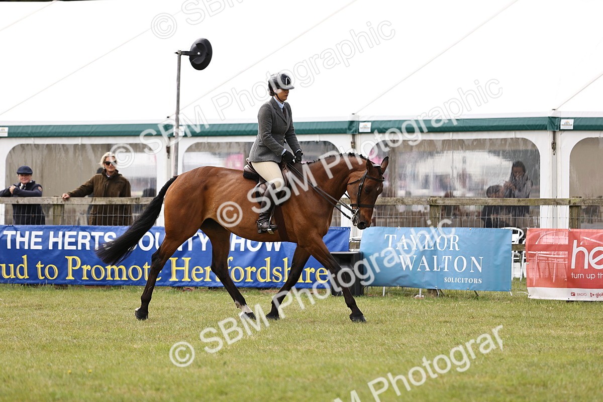 SBM_14683 - Class 88-89 - LIHS BSHA Rising Star of Ridden Hunter Type
