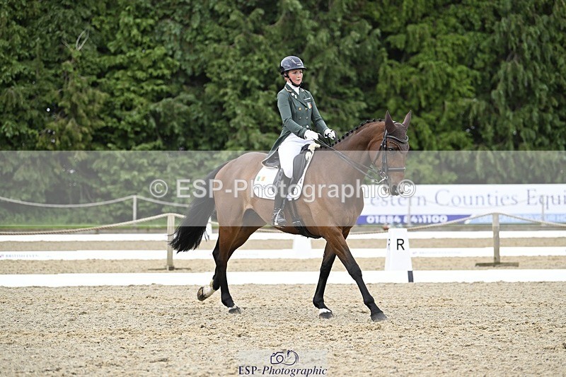 000101-212336-04289 - 412-WELLFIELDS_LINCOLN-Susie_Berry