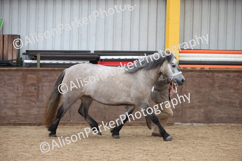 20251109-0990 - Class 26 - 2 and 4 Year Olds