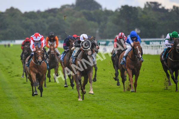 150723-Race 1-Blue For You-0065 - Race 1 2.00pm John Smith's Racing Handicap