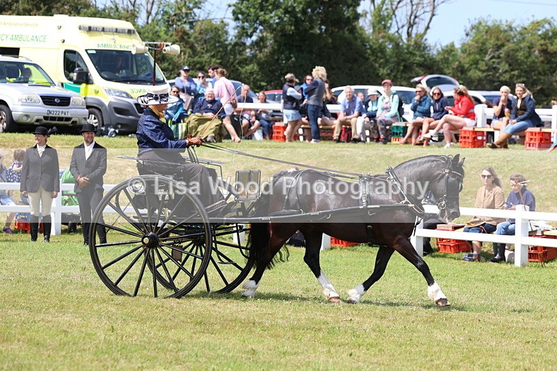 3E7A2657 - Class 12: Open Driving