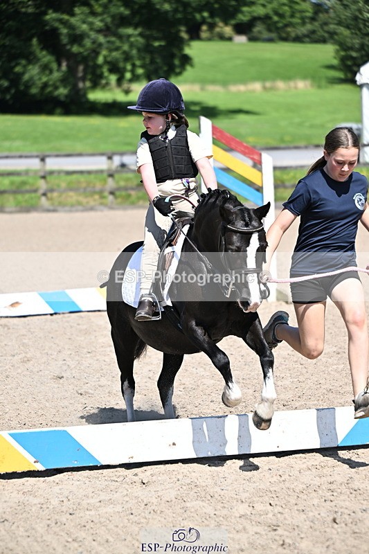 240729B-112859-02391 - Showjumping Competition