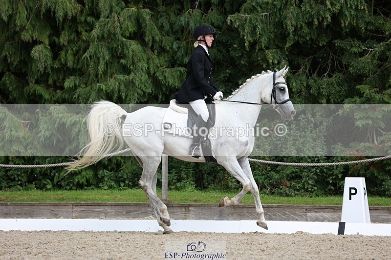 230812-151925-05107 - Cls 5 Novice Bronze 15.00 to End