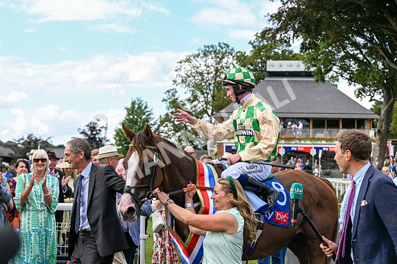220826-Race 4-Daiquiri Bay-0835 - Race 4 15.35pm Sky Bet Ebor Handicap