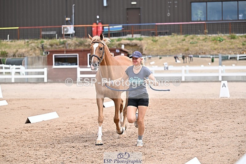 250716-132814-00539 - Trot Up 12.30 to 1.30