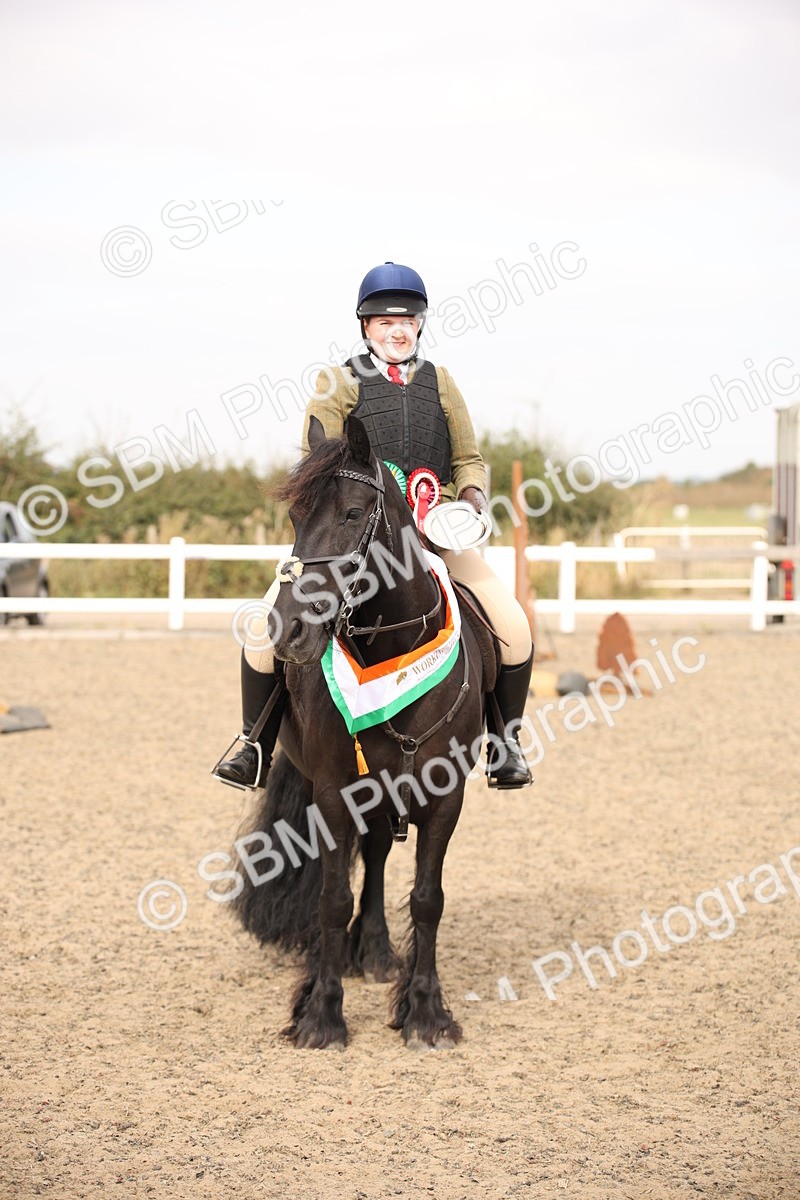 SBM_16238 - Class 409a - Working Veteran 80cm (15-19)