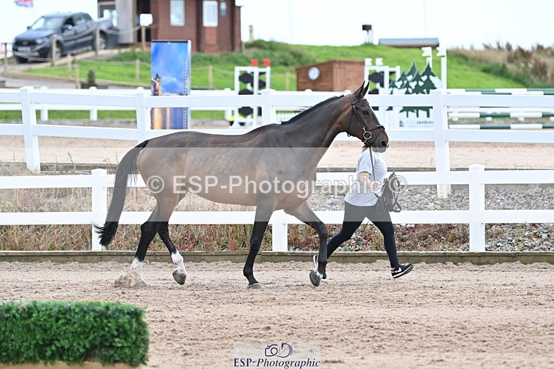240717A-143153-02113 - Trot Up 2pm to 3pm - This folder is not in time order