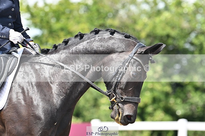 240621A-124820-02249 - Cls 7 BD Elementary 45