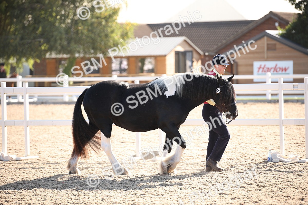 SBM_01432 - Class 15 IH Coloured