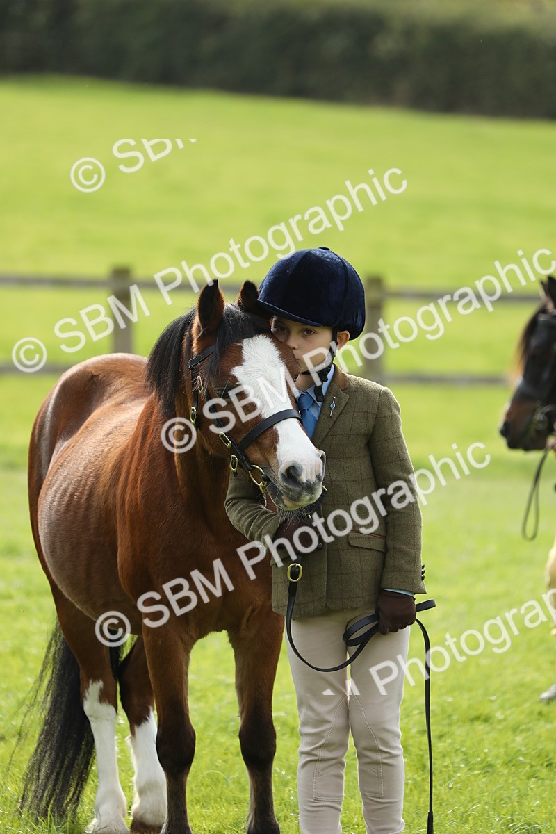 SBM_67826 - S39 - Junior Handler 8  Years & Under