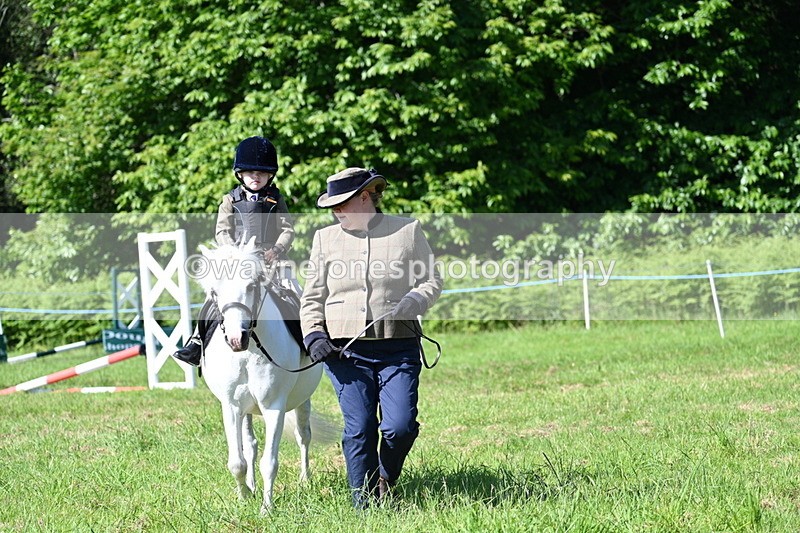 WJ7_0579 - Class 8 First Rally Pony