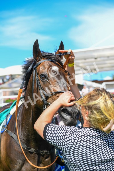 150723-Race 3-Pride of America-0369 - Race 3 3.10pm John Smith's Cup Handicap