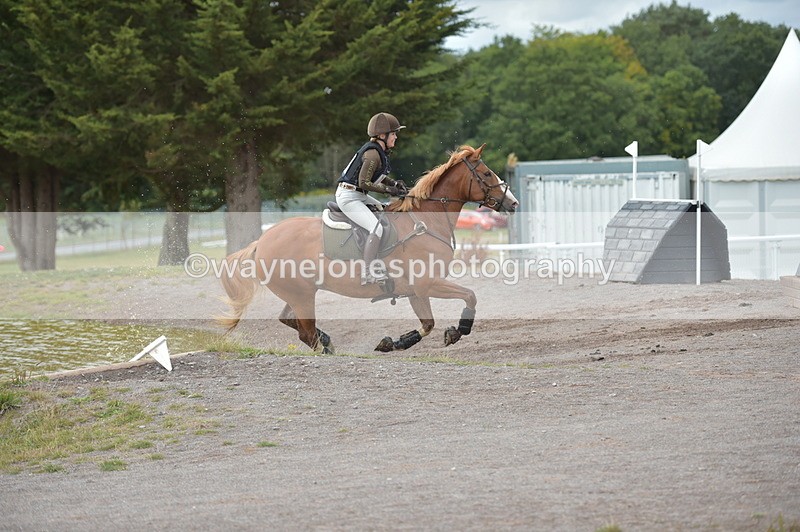NGP_5463 - XC Time 13:36 to 13:47