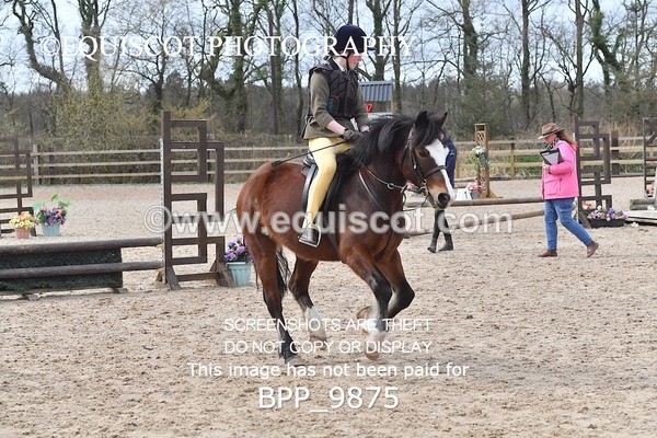 BPP_9875 - 60CM