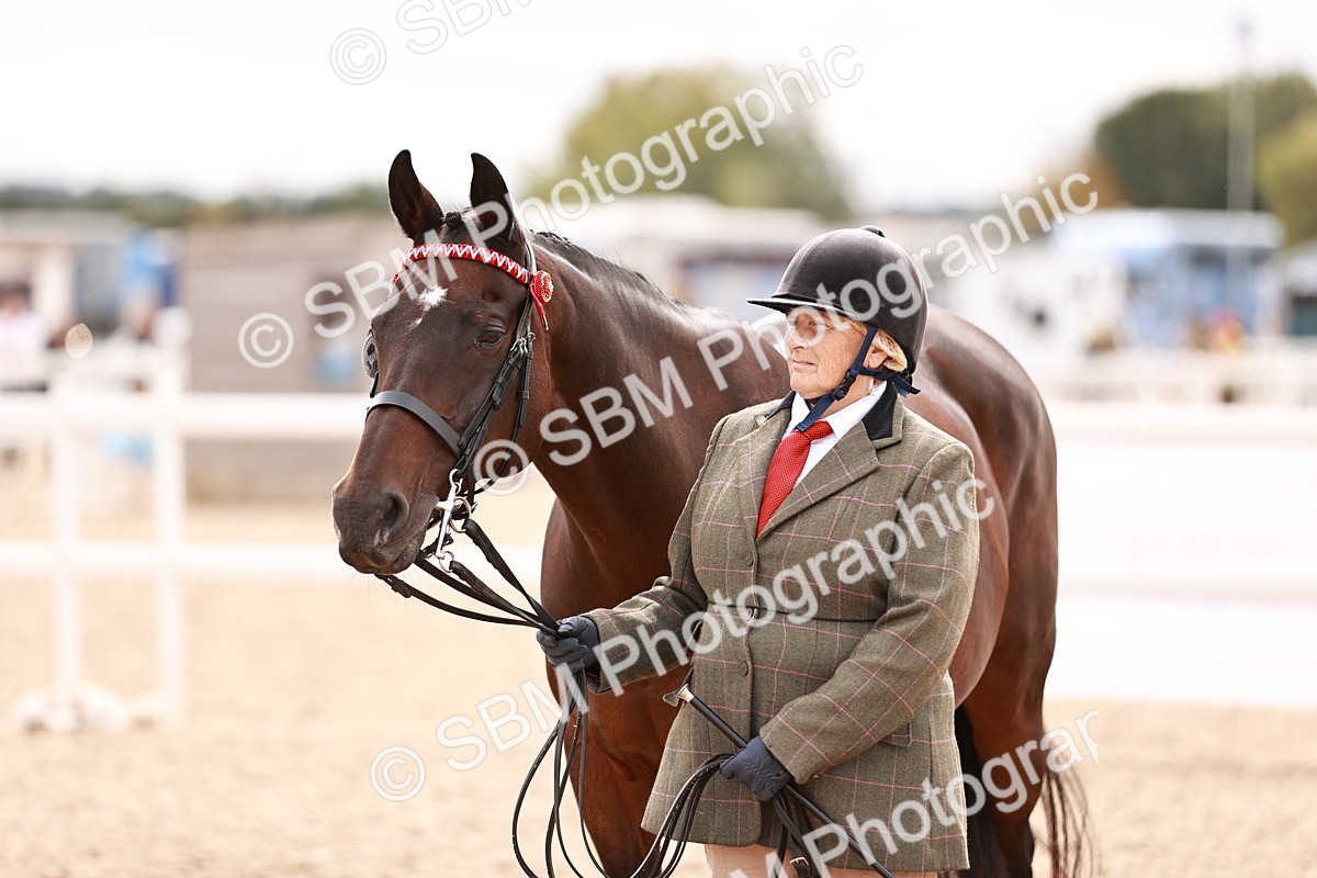 SBM_16333 - Class 413 - Best Condition - Adult