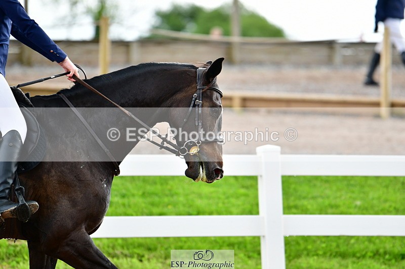 240526A-125018-08119 - Cls 33 95cm National Am Qualifier