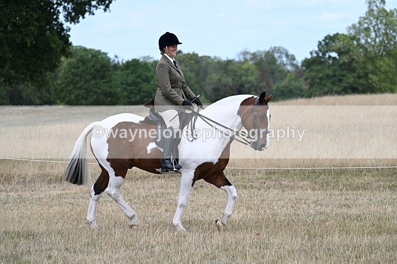 WJ7_4845 - Class 12 Ridden Cob