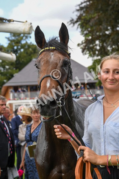 240823-Race 5-Sea Theme-0642 - Race 5 4.10pm British EBF & Sir Henry Cecil Galtres Stakes