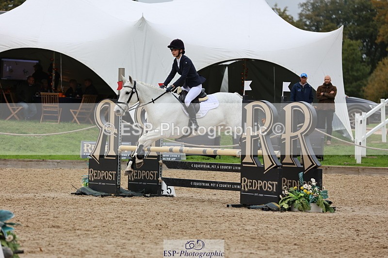 251026A-142303-26295 - F-479-Poppy.Wellman