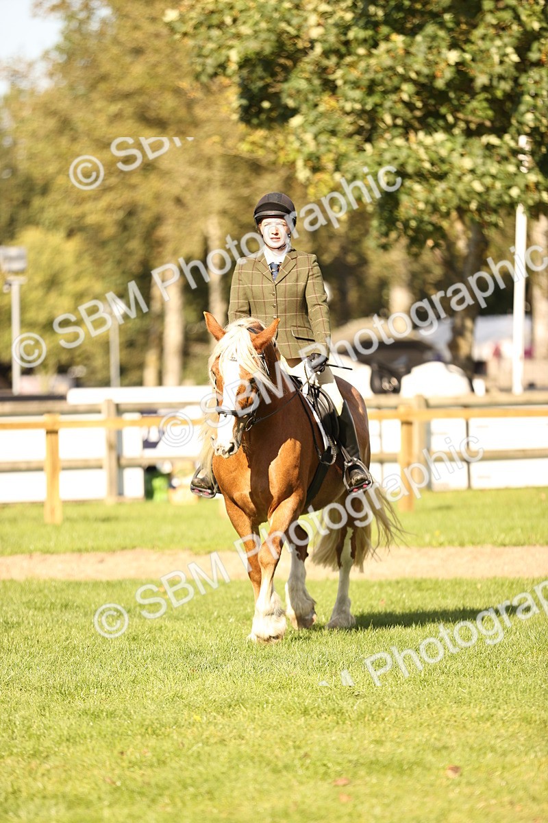 SBM_26403 - S6 - Novice & Newcomers Ridden Horse