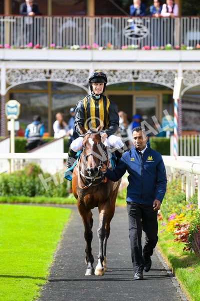 150723-Race 5-Specific Times-0553 - Race 5 4.20pm John Smith's Nursery Handicap