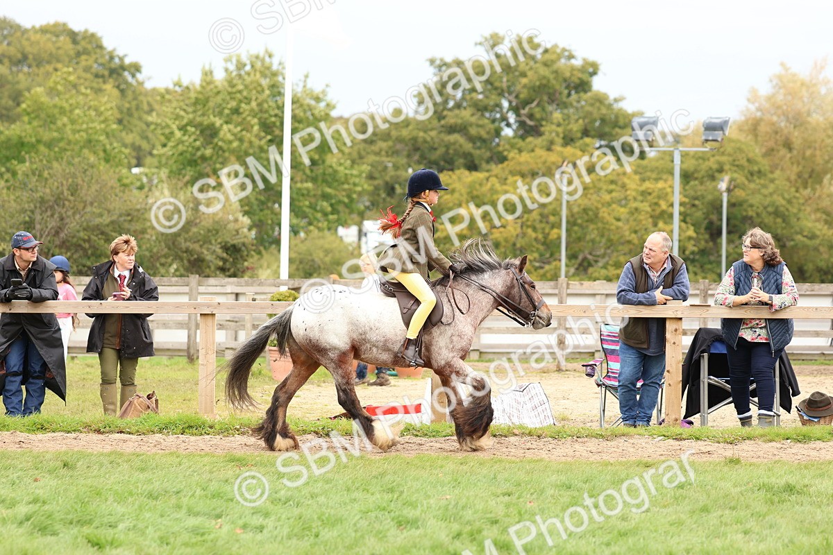 SBM_64445 - S58 - Coloured Pony Ridden