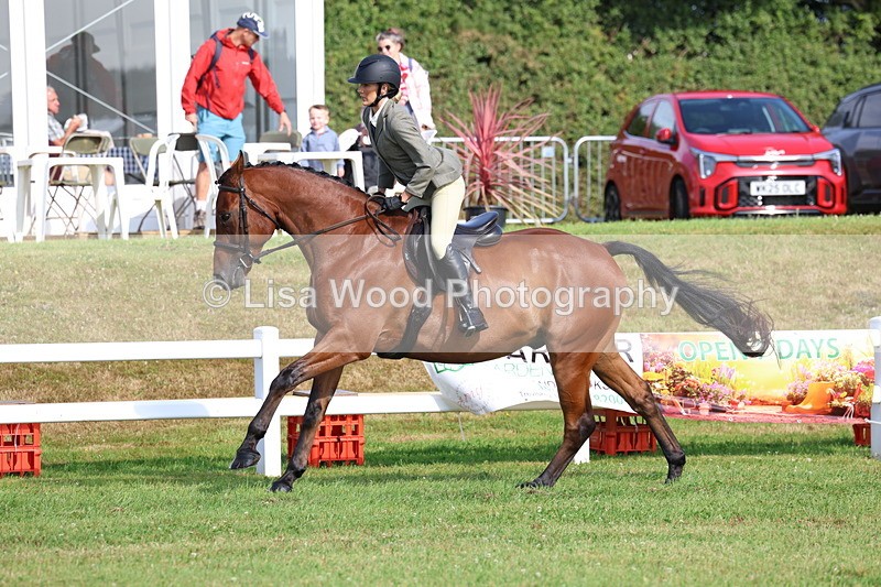 3E7A8745 - Class 3: Rising Star S/L Hunter